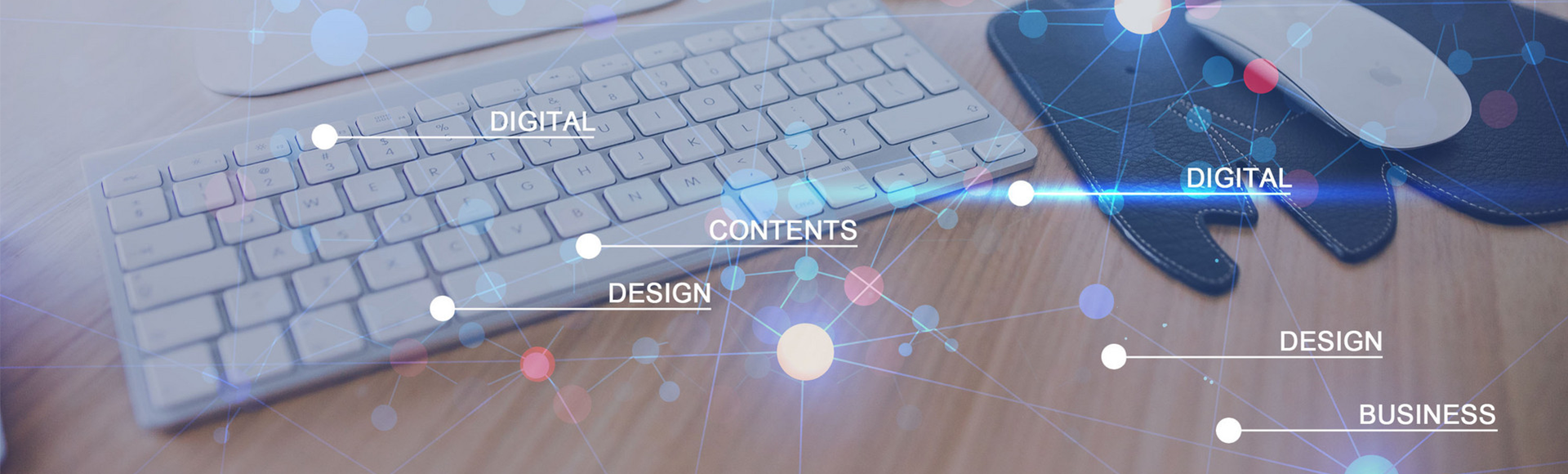 联系华体会体育·(中国)官方网站